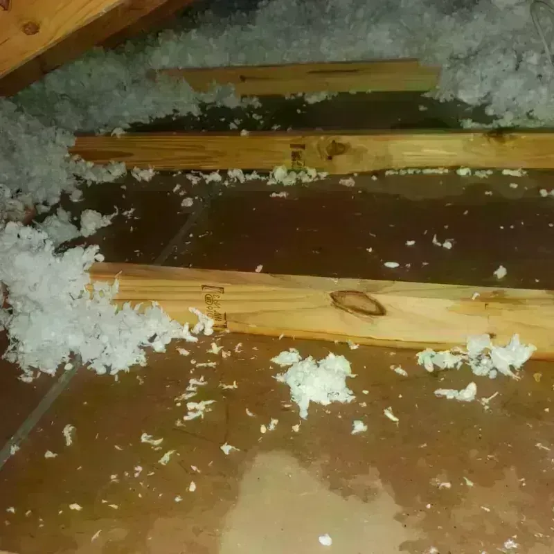 Attic Water Damage in Ramsey, IL