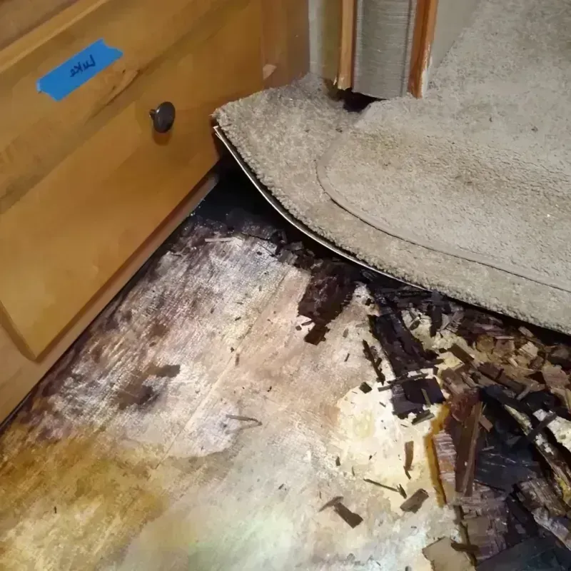 Best Wood Floor Water Damage Service in Ramsey, IL